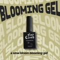 Blooming Gel: A Slow Bloom image 0